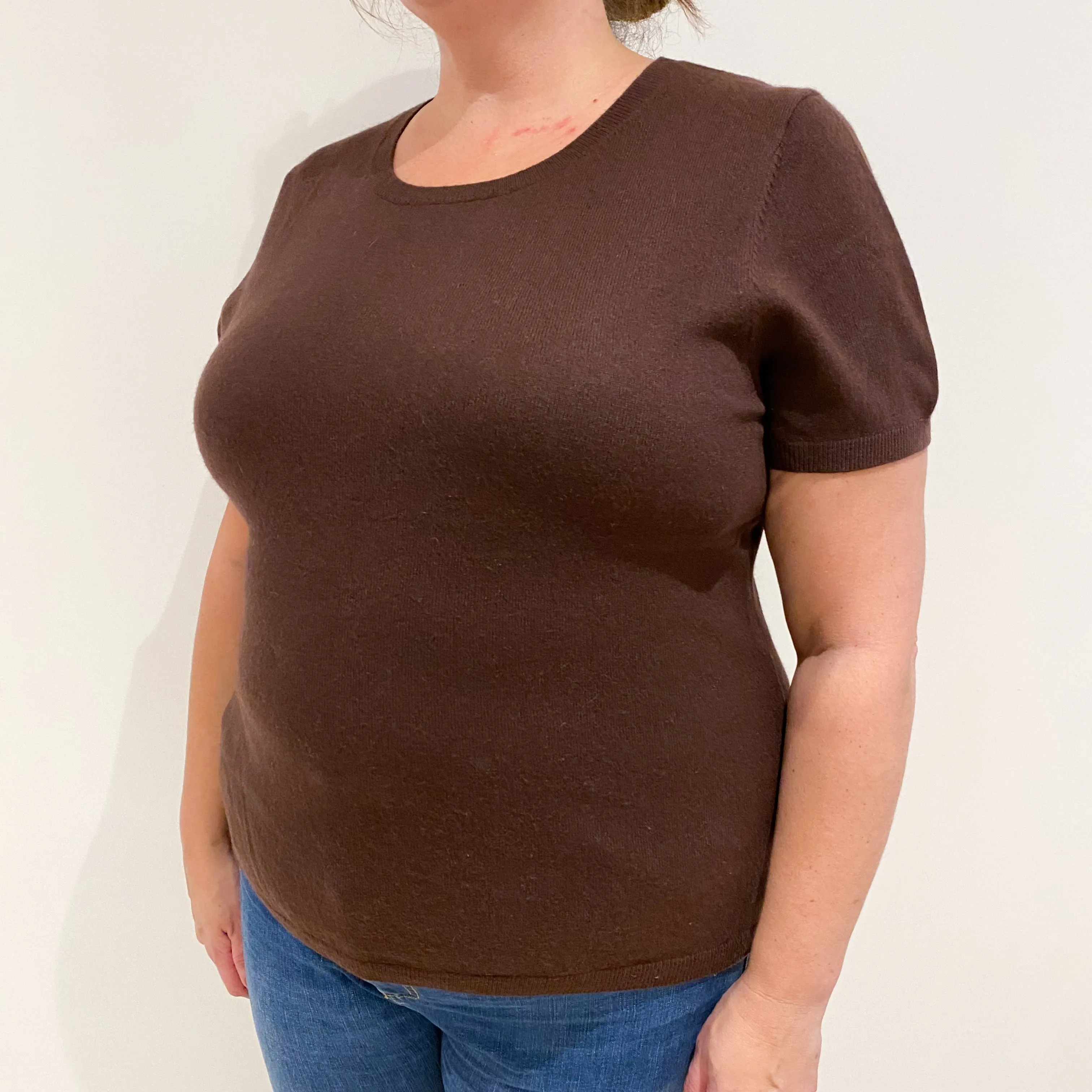 Chocolate Brown Short Sleeved Cashmere Crew Neck Jumper Extra Large
