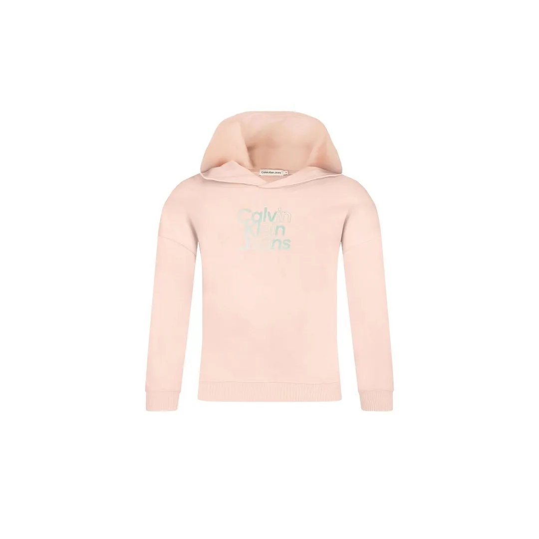 Gradient Flock Logo/ Tf6/ 16